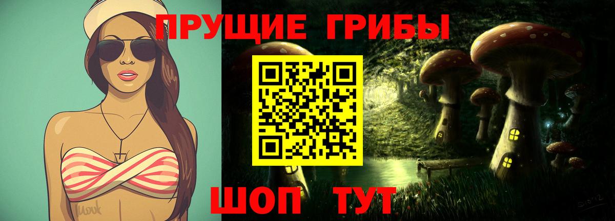 Алексин  Галлюциногенные грибы Magic Shrooms  купить  цена  Вход с VPN 